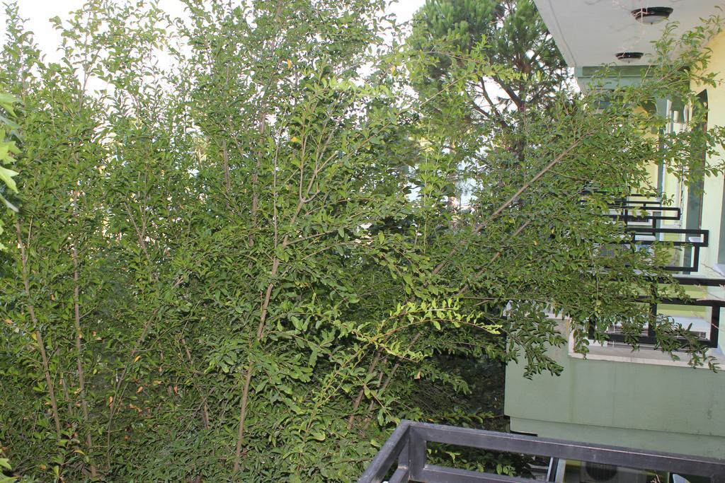 Koycegiz  Flora Hotel חדר תמונה